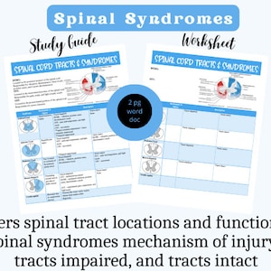 Puede incluir: Una guía de estudio y una hoja de trabajo imprimibles de dos páginas sobre los tractos y síndromes de la médula espinal. La guía incluye diagramas de la médula espinal y descripciones de diferentes síndromes. La hoja de trabajo tiene una tabla para que los estudiantes completen la información sobre los tractos y síndromes.