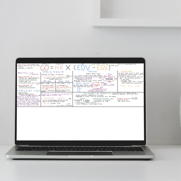 Cardiovascular Physiology - Hand written notes on cardiac output, stroke volume, heart rate, and types of vessels (arteries and veins)