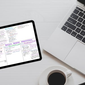 Op de afbeelding: Een witte laptop met een zwart toetsenbord en een witte touchpad. Naast de laptop staat een kopje koffie op een wit schoteltje. Een digitale tablet met handgeschreven notities over basis nierprocessen ligt op een wit oppervlak.