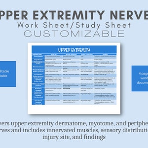 NPTE - Upper Extremity Nerves Study Guide on dermatome, myotome, & peripheral nerve in lower extremity for physical therapy