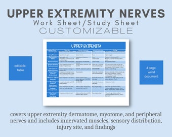 NPTE - Guía de estudio de los nervios de las extremidades superiores sobre dermatomas, miotomas y nervios periféricos en las extremidades inferiores para fisioterapia