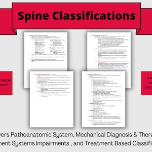 Spine Classification Systems for physical therapists / study guide / Orthopedic Treatment Protocol / McKenzie Method, Treatment Based