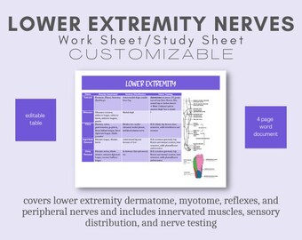 NPTE: Guía de estudio de los nervios de las extremidades inferiores sobre dermatomas, miotomas y nervios periféricos en las extremidades inferiores para fisioterapia