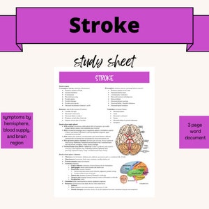 May include: A study sheet about stroke, a medical condition that occurs when blood supply to the brain is interrupted. The sheet includes a diagram of the brain with different regions highlighted, and a list of symptoms and causes of stroke.
