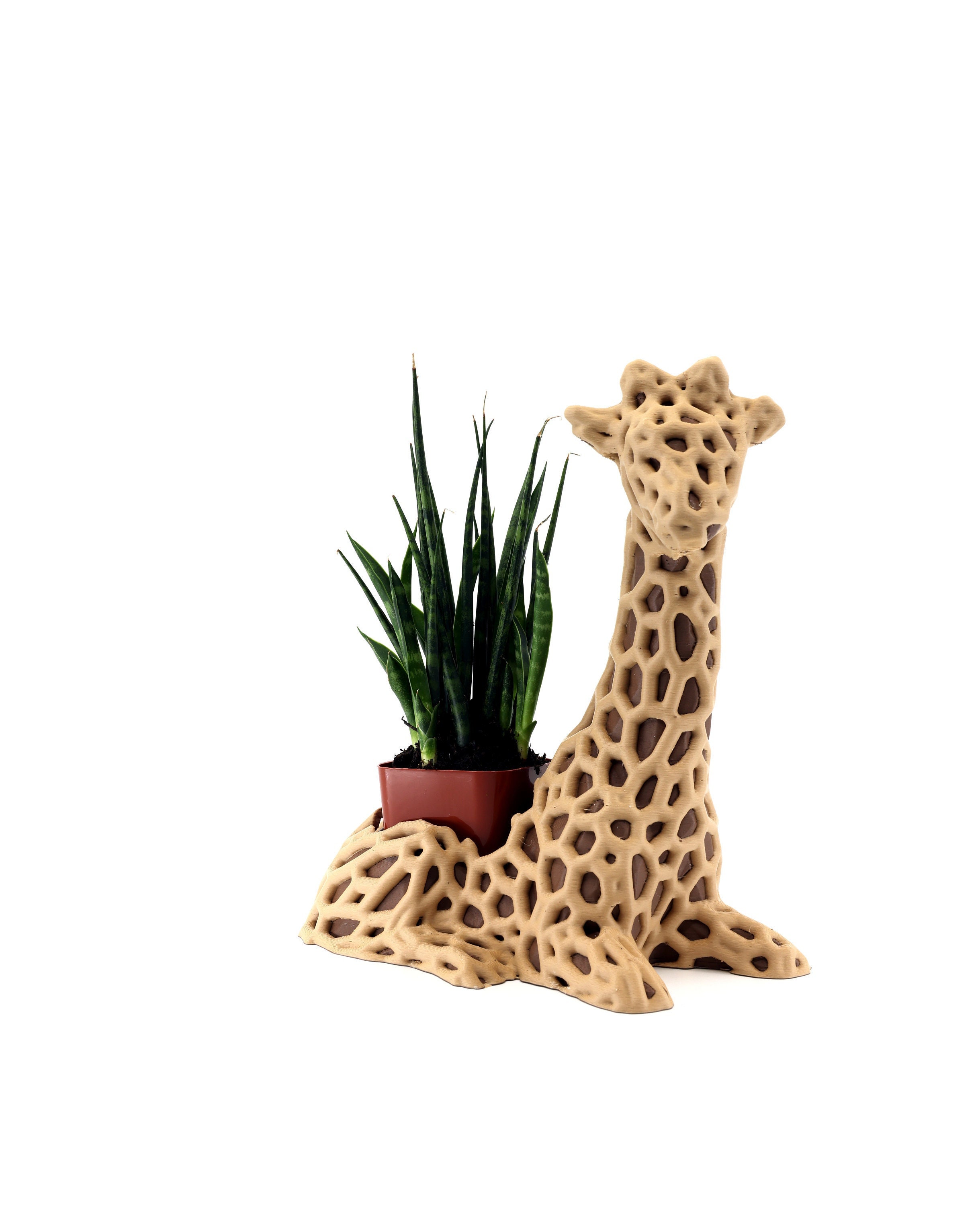 Giraffe Planter: Succulent & Air Plant Pot - Etsy