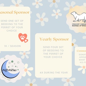 Sponsor a Ferret // Ferret Fairy Program for the Ferret Rescue Society of Ottawa image 2