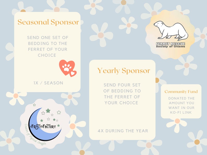 Sponsor a Ferret // Ferret Fairy Program for the Ferret Rescue Society of Ottawa image 2