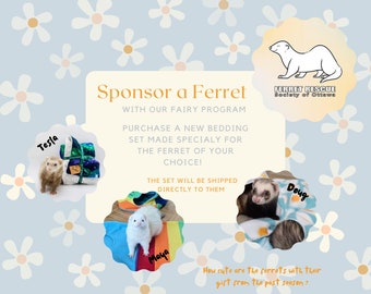 Sponsor a Ferret // Ferret Fairy Program for the Ferret Rescue Society of Ottawa