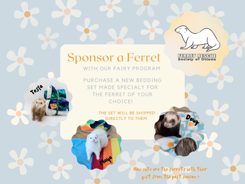 Sponsor a Ferret // Ferret Fairy Program for the Ferret Rescue Society of Ottawa image 1