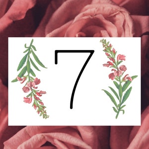 Table Numbers 1-25 for a wedding, Birthday, Gettogether or any other event
