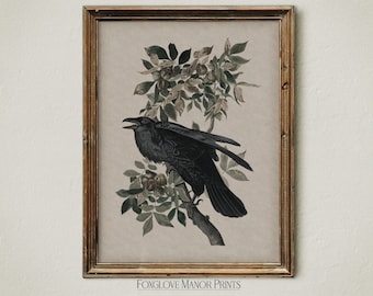 Raven Art, Witchy Wall Art, Digital Printable Download, Dark Academia Decor, Dark Cottagecore Aesthetic Print, Moody Home Decor, Crow, I-238