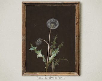 Vintage Dandelion Wildflower Print, Dark Floral Painting, Moody Wall Art, Dark Academia Decor, Printable Artwork, Digital Download Art I-245