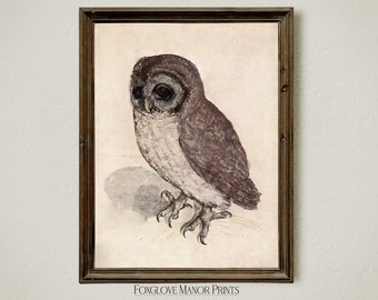 Dark Academia Owl Art Print, Gothic Aesthetic, Moody Wall Art, Digital Printable Download, Dark Cottagecore Decor, Witchy Aesthetic, I-293