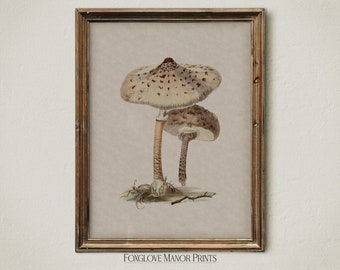 Vintage Cottagecore Wall Art Print | Mushroom Artwork | Cottagecore Decor | Digital Printable Download | Botanical Illustration | I-53B