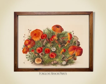 Cottagecore Wall Art | Mushroom Print | Vintage Oil Painting | Digital Printable Download | I-72