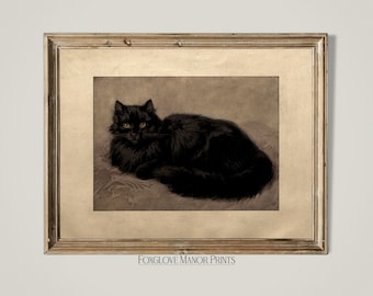 Vintage schwarze Katze Gemälde, digitale druckbare Download, Halloween Dekor, schwarze Perserkatze Kunstdruck, witchy Wandkunst, launische Kunst | I-35