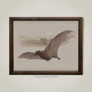 Study of a Vampire Bat, Vintage Bat Decor, Digital Printable Download, Gothic Wall Art, Witchy Aesthetic, Dark Academia Art Print, I-239
