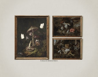 Set of 3 Dark Cottagecore Art Prints Gallery, Dark Academia Aesthetic, Printable Digital Download, Cottagecore, Mushroom, Moth Artwork, G3-7