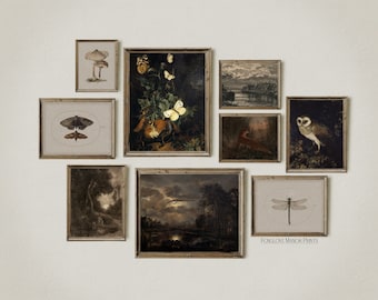 Set of 9 Dark Moody Art Prints Gallery | Dark Academia Wall Art | Instant Printable Digital Download | Cottagecore, Owl, Moth Artwork, G9-2A