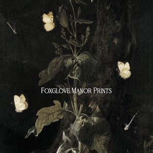 May include: A dark background with a single plant with green leaves and white flowers. There are several white butterflies flying around the plant. The text "FOXGLOVE MANOR PRINTS" is in the centre of the image.