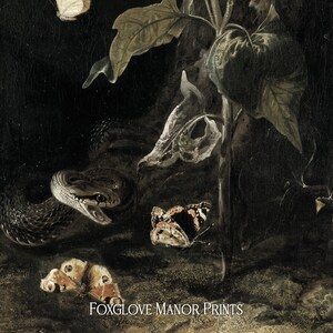 May include: A dark, moody painting featuring a snake, two butterflies, and a plant with large leaves. The snake is coiled around a branch and has a menacing expression. The butterflies are perched on the leaves and have delicate wings. The painting is set against a dark background and has a sense of mystery and intrigue.