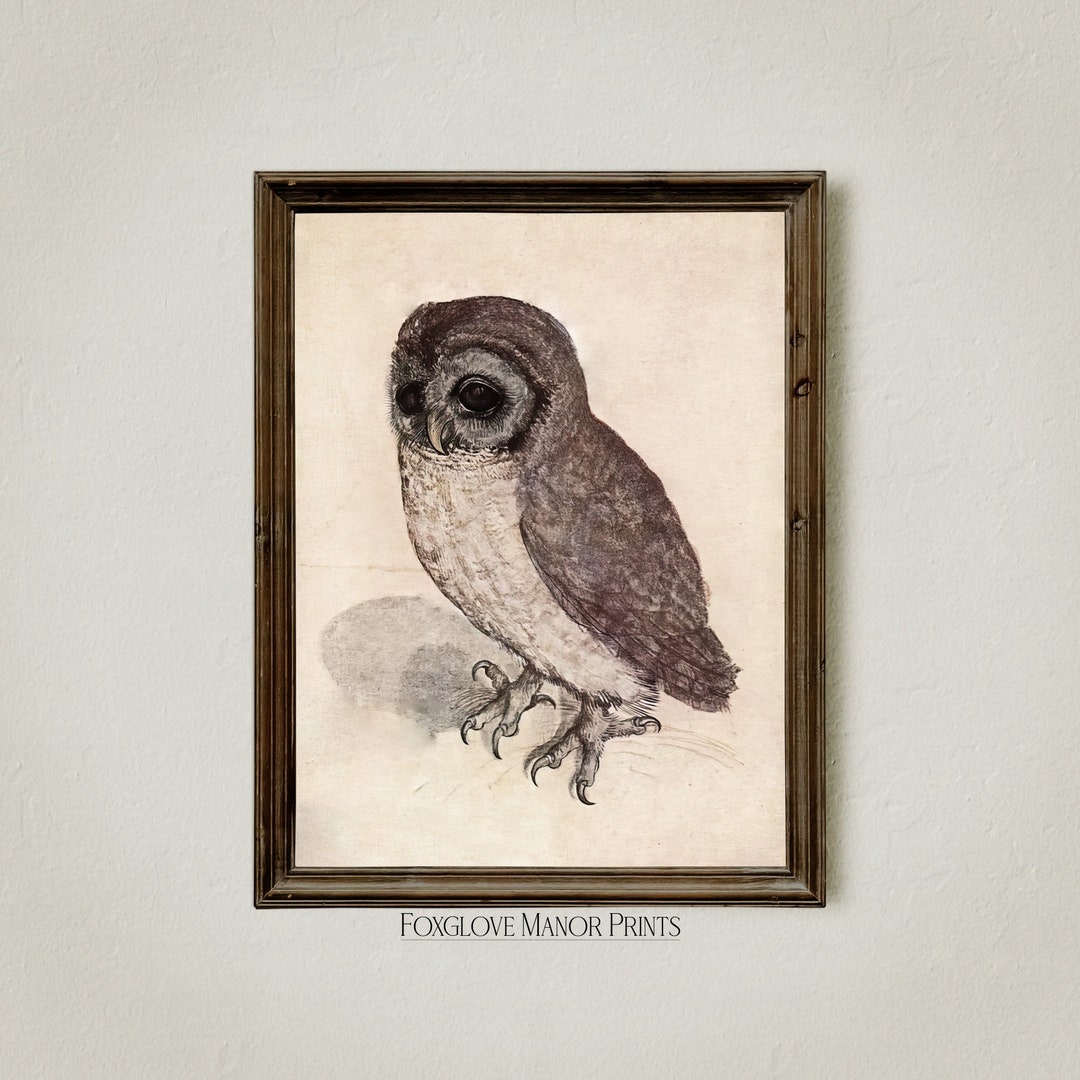 Dark Academia Owl Art Print, Gothic Aesthetic, Moody Wall Art, Digital ...