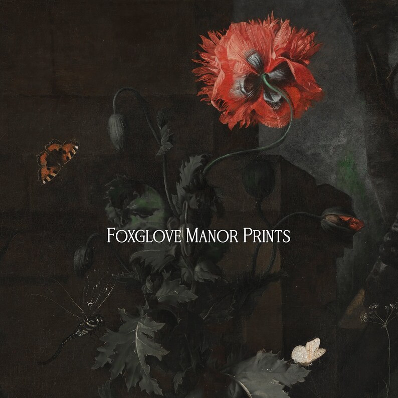 May include: A still life painting featuring a red poppy flower with dark green leaves and a brown butterfly. The painting has a dark background and the text "FOXGLOVE MANOR PRINTS" is visible in the lower centre of the image.