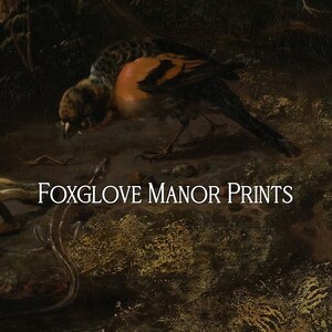 K&ouml;nnte beinhalten: Ein Gem&auml;lde eines Vogels mit braunen, schwarzen und orangefarbenen Federn, der auf einem Ast sitzt. Der Vogel blickt auf eine Eidechse auf dem Boden. Das Gem&auml;lde tr&auml;gt den Titel "Foxglove Manor Prints".