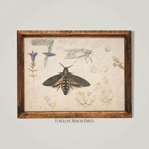 Death Head Moth Print, Digital Printable Download, Dark Academia Wall ...