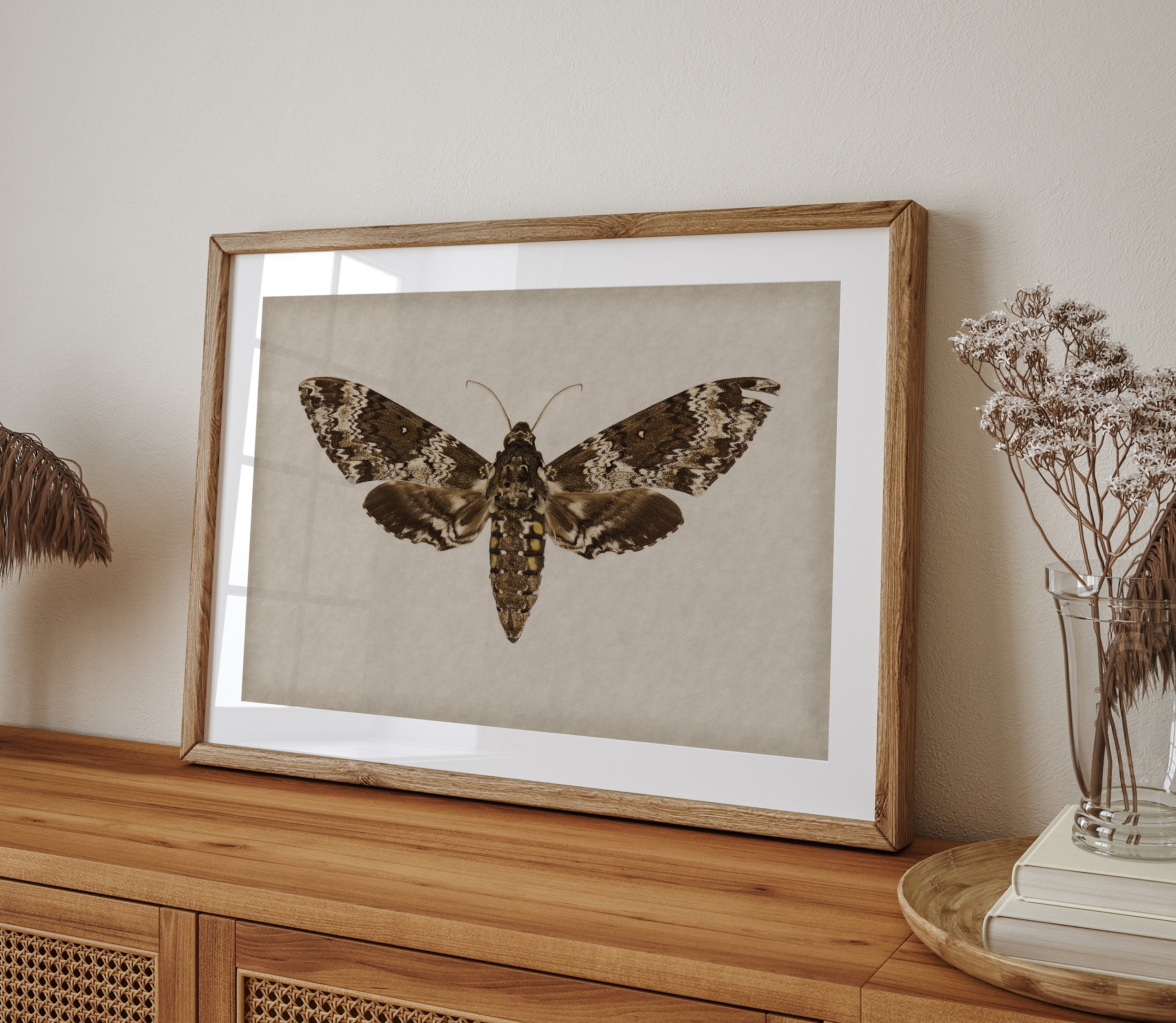 Dark Cottagecore Moth Decor, Vintage Dark Academia Wall Art, Digital ...