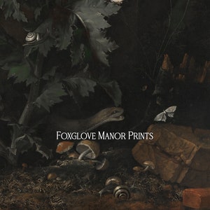 May include: A dark, moody painting depicting a forest floor with a snake, mushrooms, and snails. The snake is coiled around a branch and the mushrooms are growing in the dirt. The snails are crawling on the leaves. The painting is executed in a realistic style and has a dark, mysterious feel.
