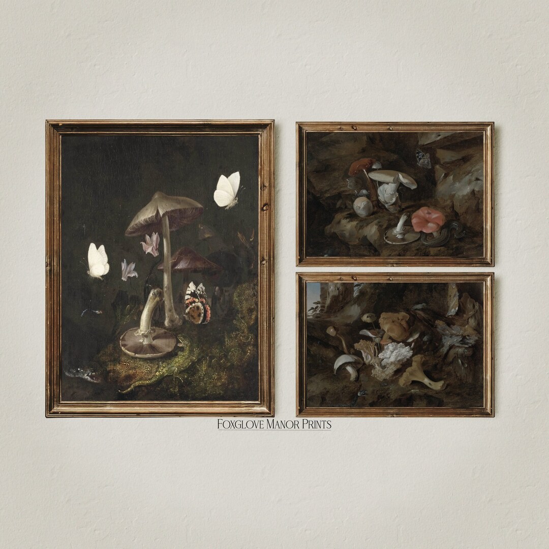 Set of 3 Dark Cottagecore Art Prints Gallery Dark Academia - Etsy