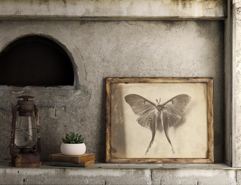 Vintage Luna Moth Wall Art | Digital Printable Download | Dark Academia ...