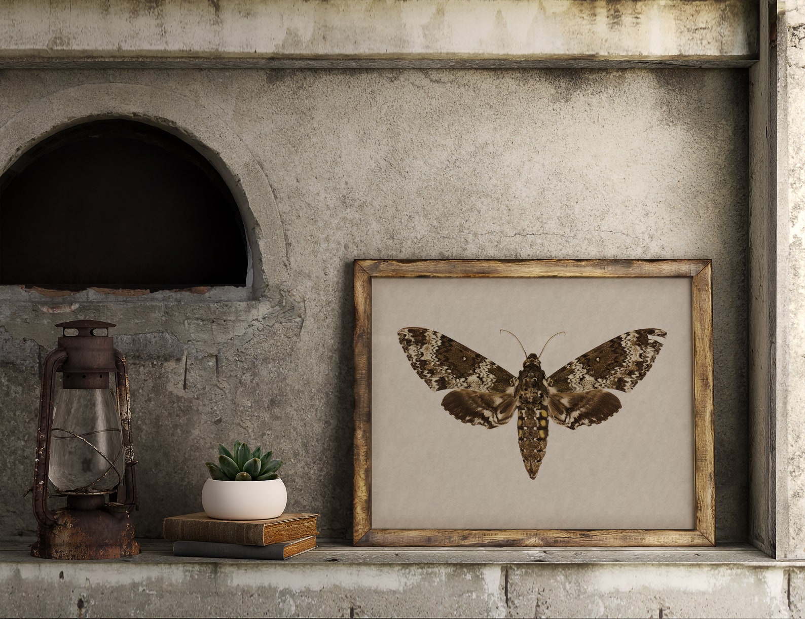 Dark Cottagecore Moth Decor Vintage Dark Academia Wall Art - Etsy