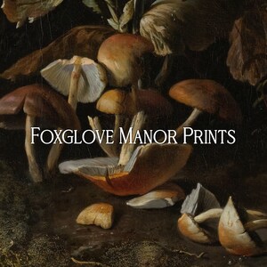 K&ouml;nnte beinhalten: Ein Stillleben mit verschiedenen Pilzen in verschiedenen Braunt&ouml;nen, Beige und Wei&szlig;. Die Pilze sind auf einem dunklen Hintergrund mit dem Text "Foxglove Manor Prints" in der Mitte angeordnet.