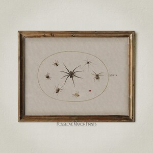 May include: A vintage illustration of various spiders in a circle, framed in a gold frame. The illustration is on a beige background with the text "XXXIX." and "FOXGLOVE MANOR PRINTS" at the bottom.