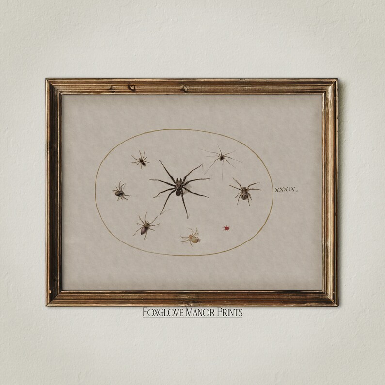 May include: A vintage illustration of various spiders in a circle, framed in a gold frame. The illustration is on a beige background with the text "XXXIX." and "FOXGLOVE MANOR PRINTS" at the bottom.