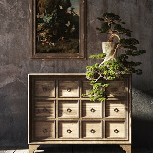 K&ouml;nnte beinhalten: Ein Holzschr&auml;nkchen mit 12 Schubladen, jede mit einem Metallknopf. Der Schrank ist braun und hat eine rustikale Oberfl&auml;che. Ein Bonsai-Baum in einem Keramiktopf steht auf dem Schrank. Ein gerahmtes Gem&auml;lde h&auml;ngt an der Wand hinter dem Schrank.