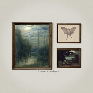 Moody Art Print Gallery Set of 3, Printable Digital Download, Full Moon Landscape Paintings, Luna Moth Vintage Photo, Dark Academia G3-1A