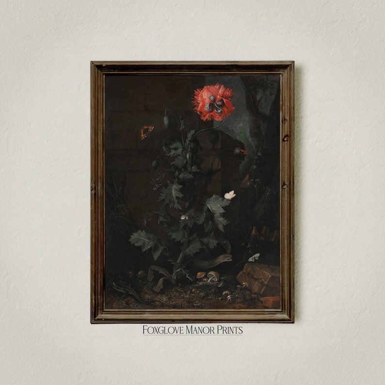 May include: A framed print of a still life painting depicting a red poppy flower with green leaves and stems. The painting is set against a dark background with a stone wall and other foliage. There are also small insects and a butterfly in the painting.