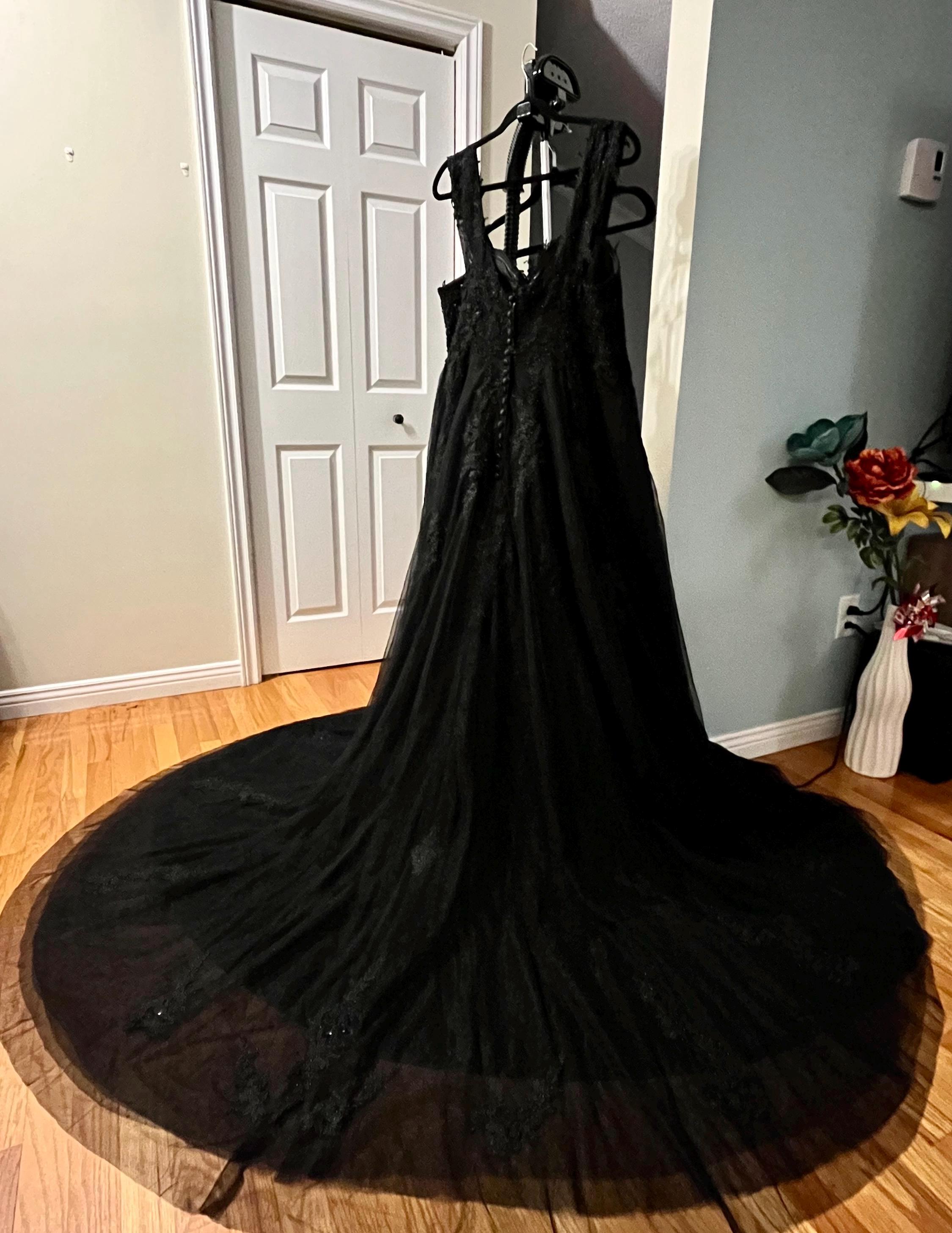 gothic black dress Gothic Black Tulle Feather Fantasy dress DW780 L main image 0