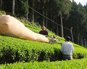 Rare brand: Asamiya Organic Japanese Green tea Loose Leaf Aracha 2.1 oz (60 g)