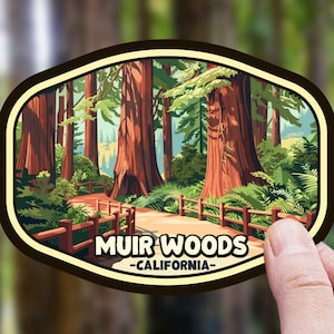 Muir Woods Sticker California National Monument Park Travel Souvenir Gift for Laptop Water Bottle Hiking Forest Scrapbook Destination