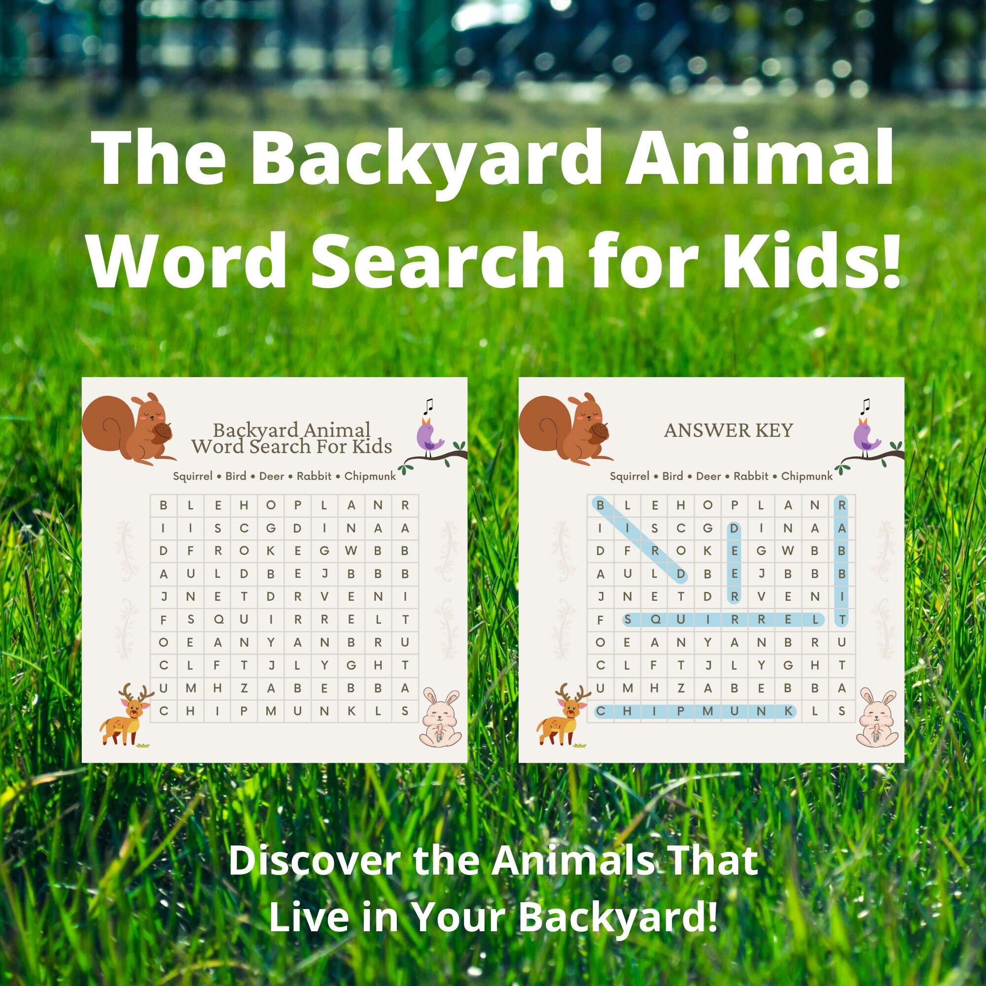 backyard wildlife word search answer key for children etsy