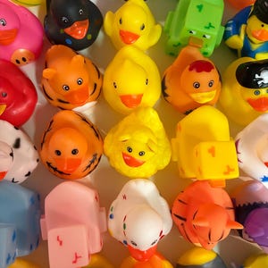 Duck Rubber Ducks Choose Your Duck!