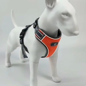 Hundegeschirr