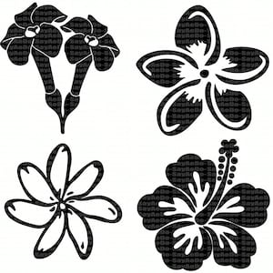 Hawaiian Flowers