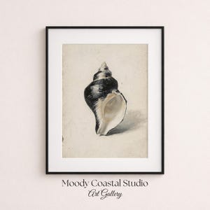 Vintage Muschelschale Ölgemälde Druck | Küsten Minimalistische Wand Kunst | Neutral Strand Dekor | Maritime Dekoration