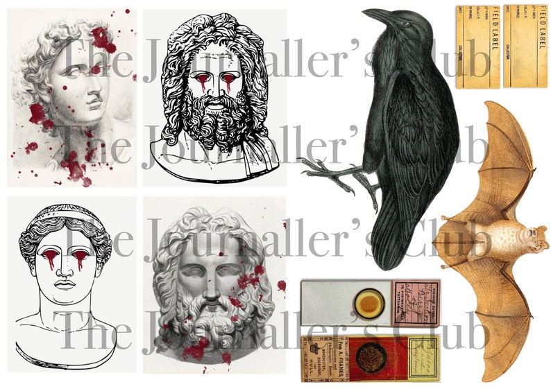 May include: A collage of vintage illustrations featuring classical busts with red accents, a black crow, and a bat. Also included are vintage field labels and microscope slides. The text "The Journaler's Club" is overlaid.