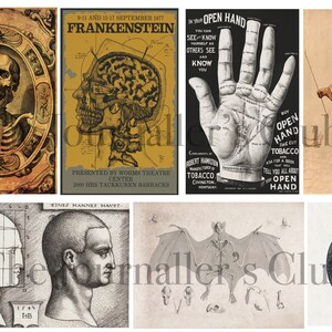 May include: A collection of vintage anatomical and scientific illustrations. Includes a skull and skeleton in an ornate frame, a poster for "Frankenstein," a palmistry chart, a figure in robes, and drawings of a head, a bat, and an eye.